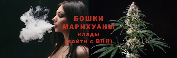 сатива Навашино