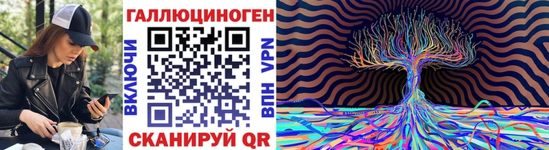 Галлюциногенные грибы Psilocybe  Абакан 